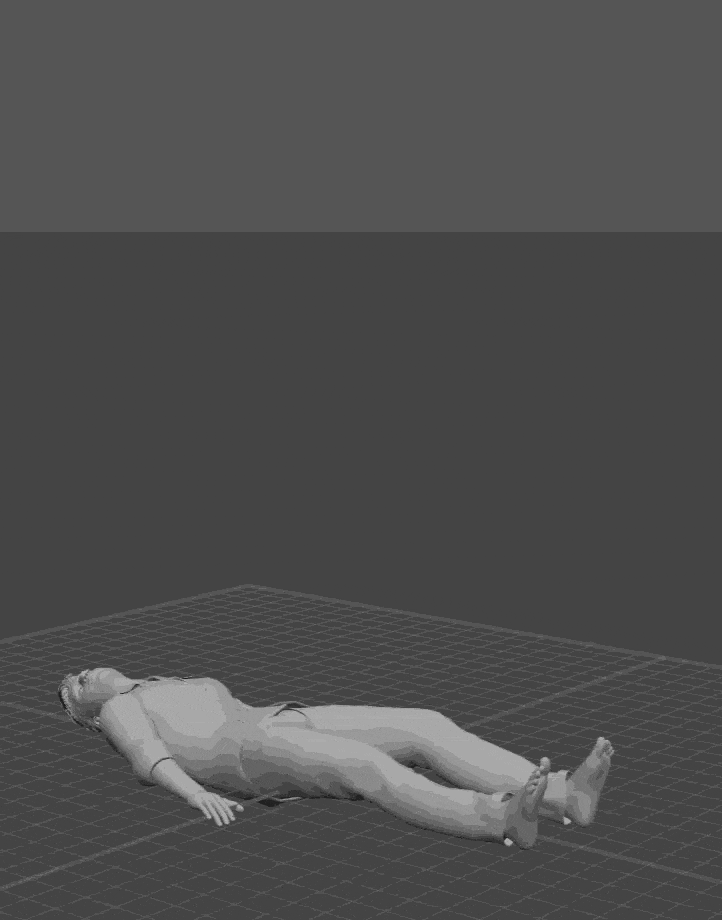 Phasmo Revive Animation Preview